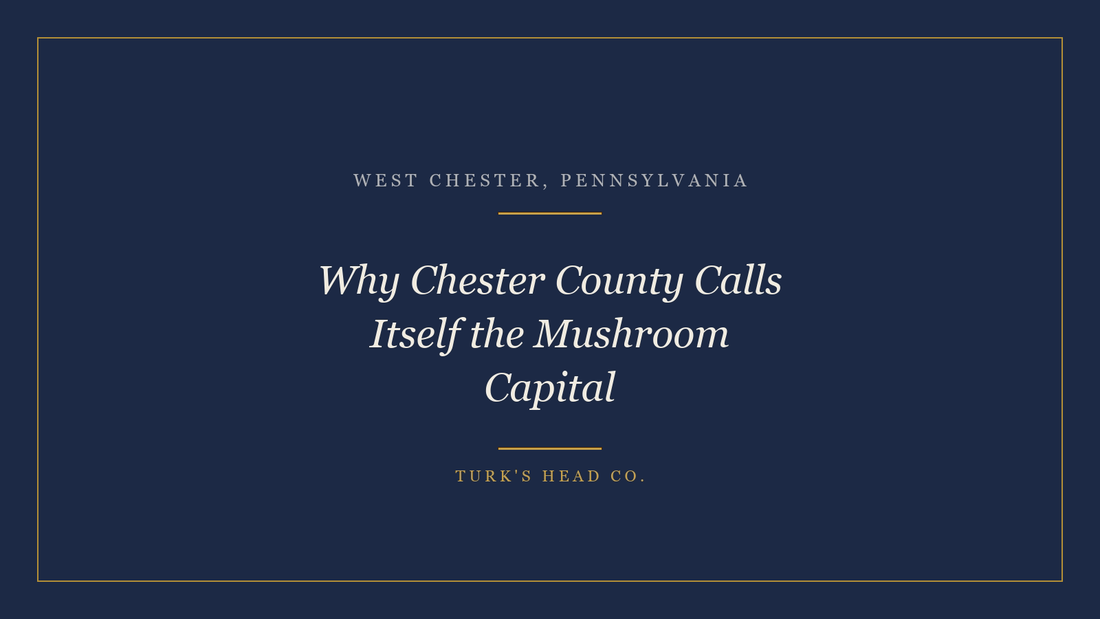 Why Chester County Calls Itself the Mushroom Capital