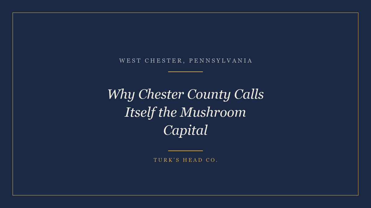 Why Chester County Calls Itself the Mushroom Capital